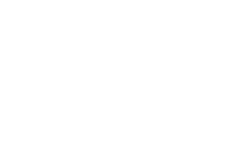 ellielenceria.com.ar